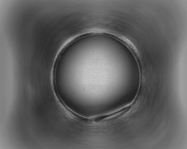 X0000116811183200912241215