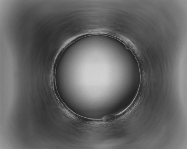 X0000116811184200912241215