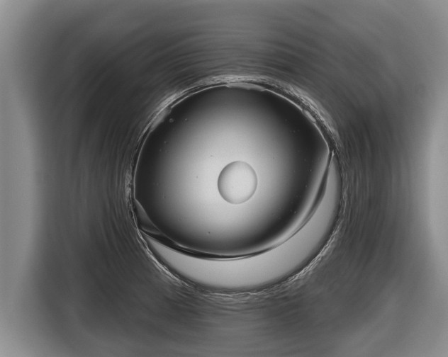 X0000116811185200912241215