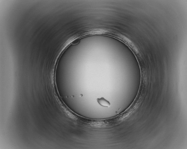 X0000116811186200912241215