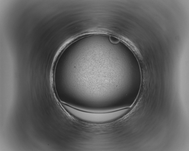 X0000116811188200912241215