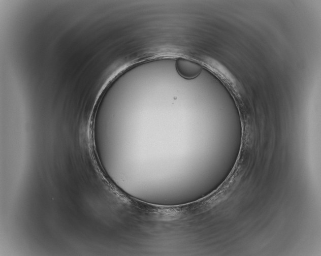 X0000116811190200912241215