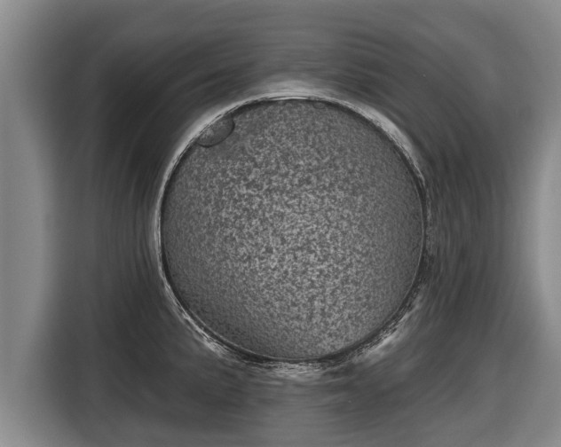 X0000116811191200912241215