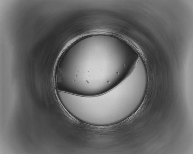 X0000116811192200912241215