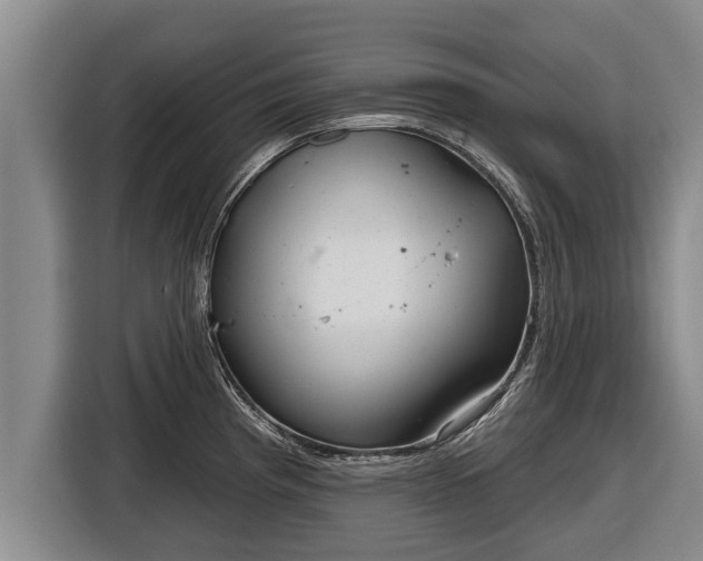 X0000116811193200912241215