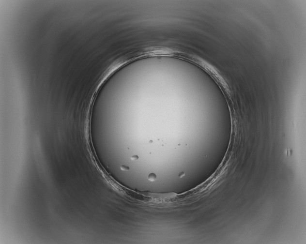 X0000116811194200912241215