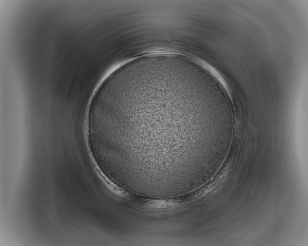 X0000116811195200912241215