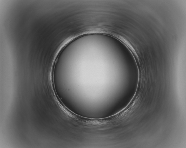 X0000116811197200912241215