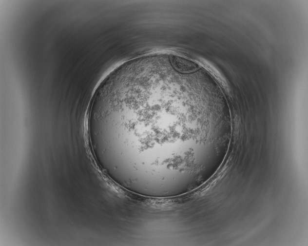 X0000116811198200912241215