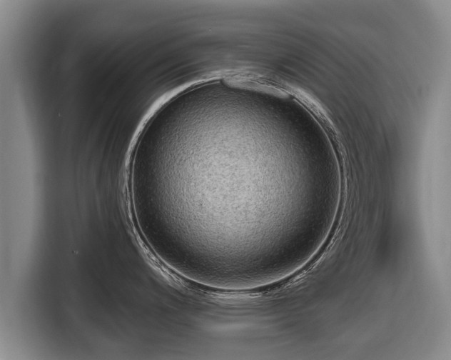 X0000116811200200912241215