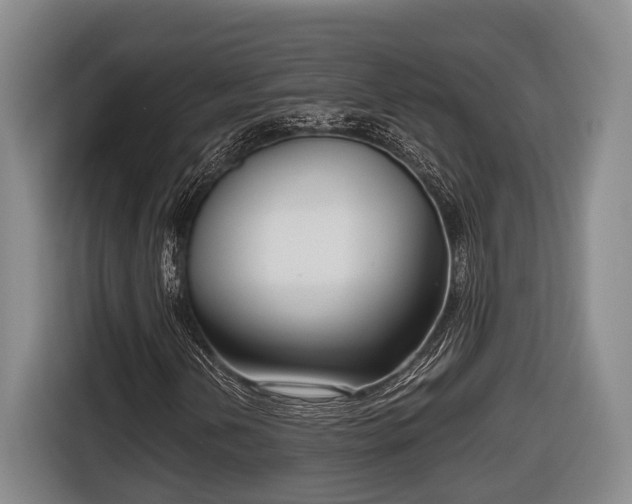 X0000116811202200912241214