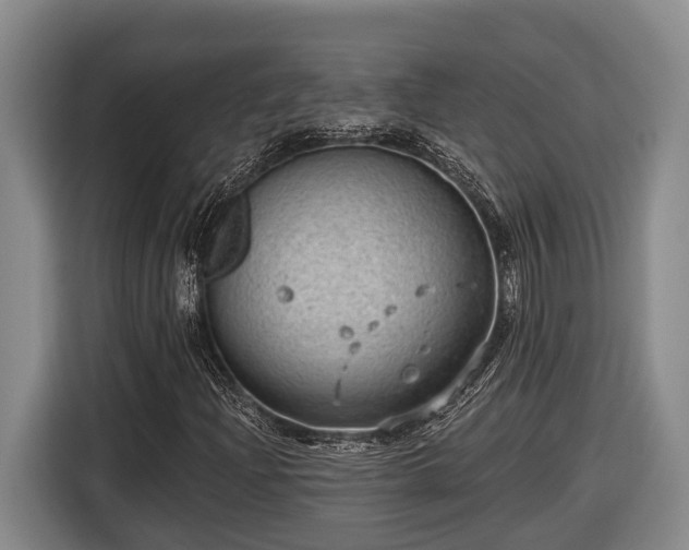 X0000116811204200912241214