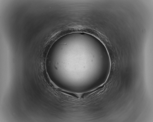 X0000116811205200912241214