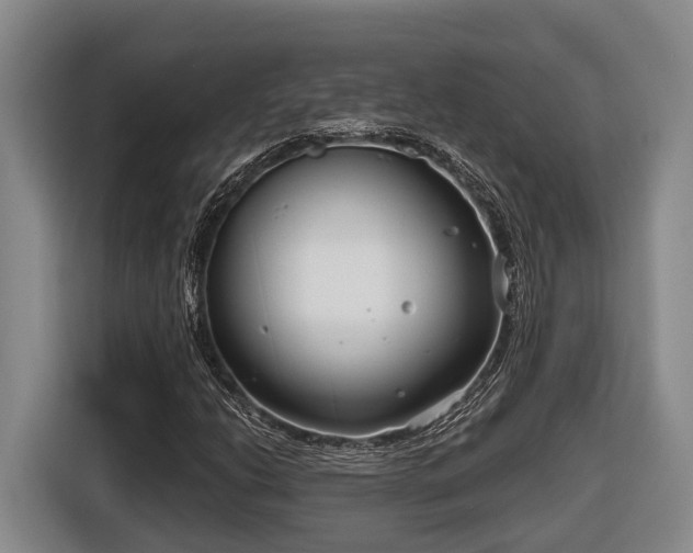 X0000116811206200912241214