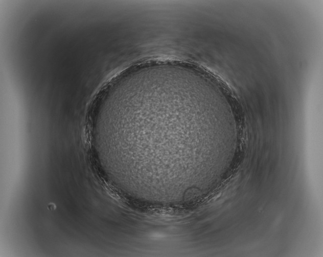 X0000116811207200912241214