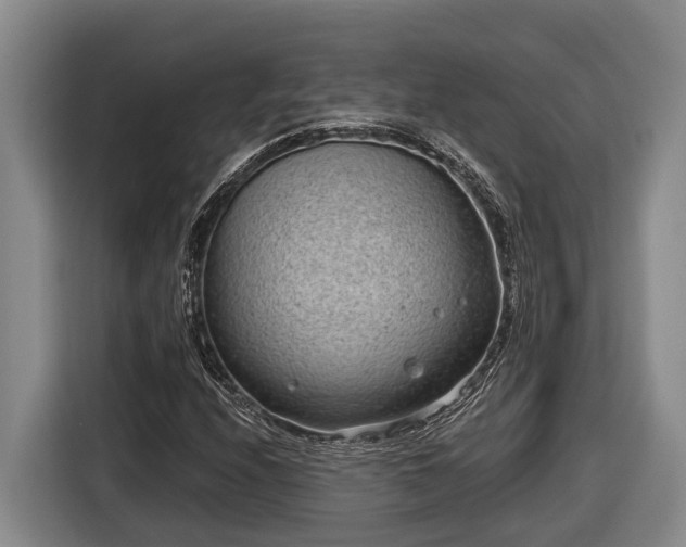 X0000116811208200912241214