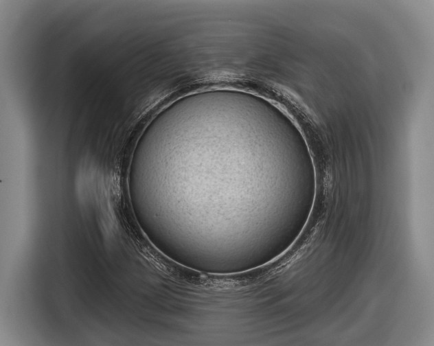 X0000116811209200912241214