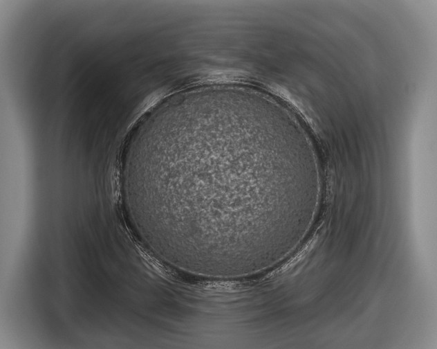 X0000116811211200912241214