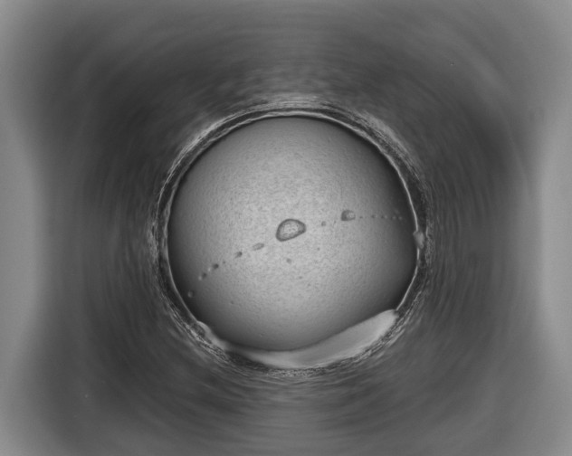 X0000116811212200912241214