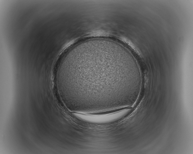 X0000116811213200912241214