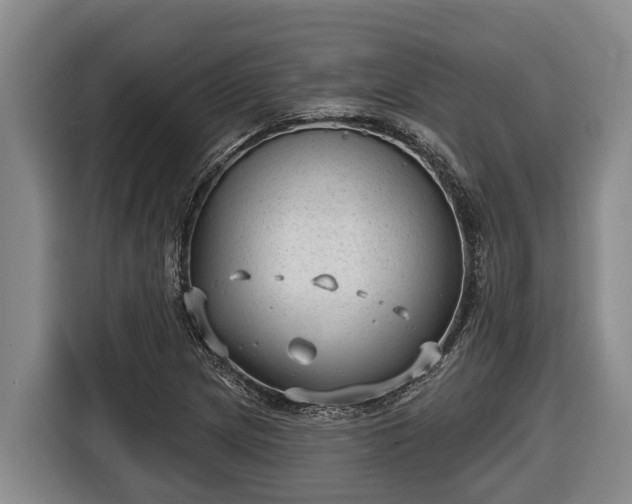 X0000116811217200912241214