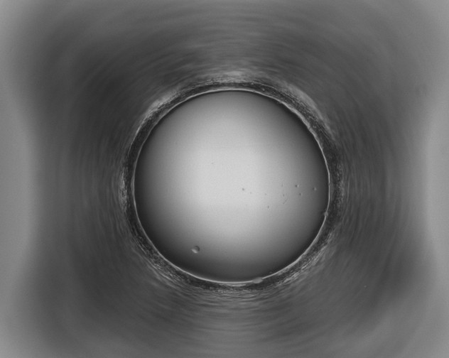 X0000116811218200912241214