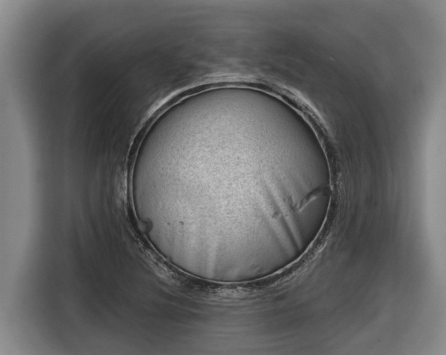 X0000116811220200912241214