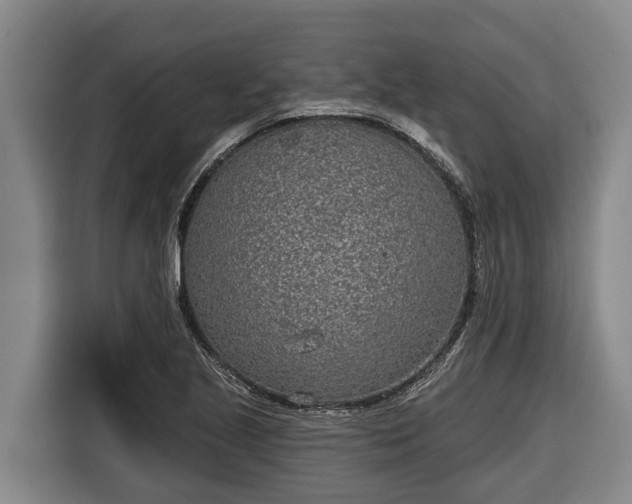 X0000116811221200912241214