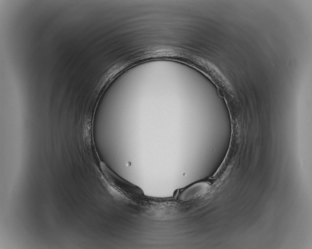 X0000116811225200912241214