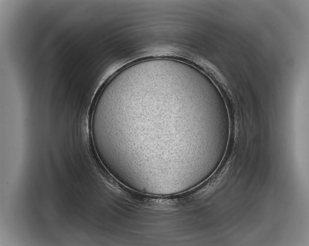 X0000116811226200912241214