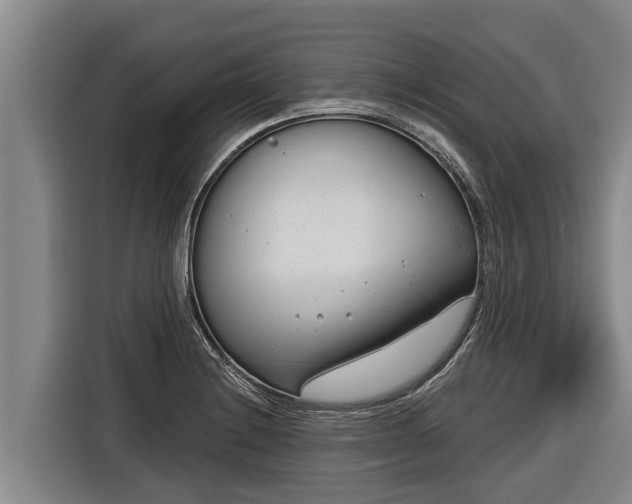 X0000116811228200912241214