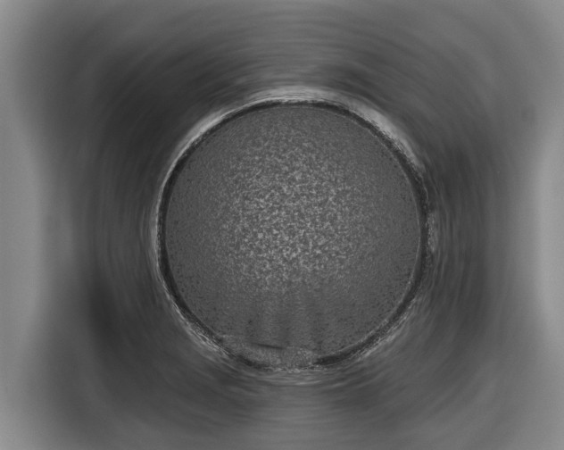 X0000116811229200912241214