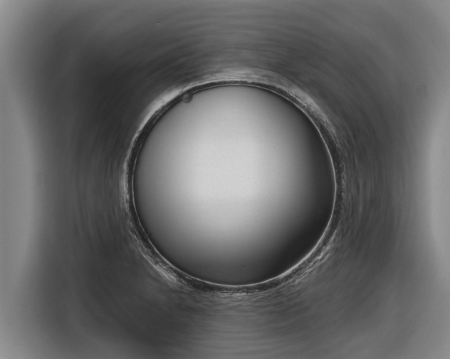 X0000116811230200912241214