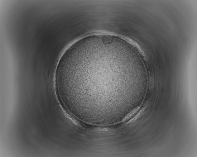 X0000116811231200912241214