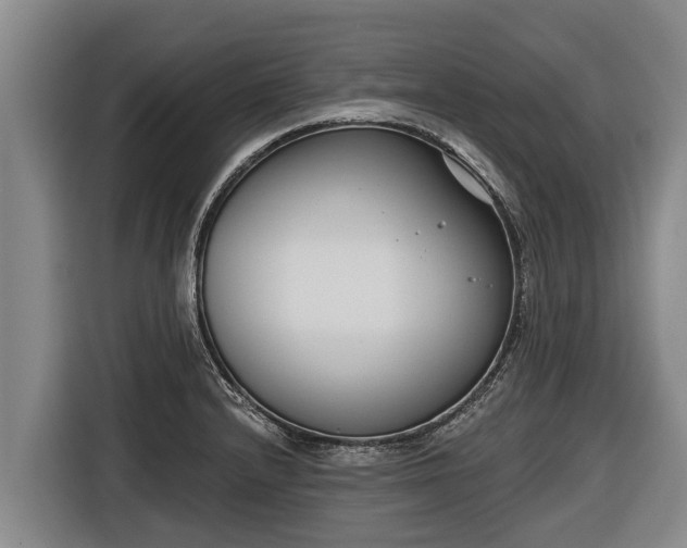 X0000116811232200912241214