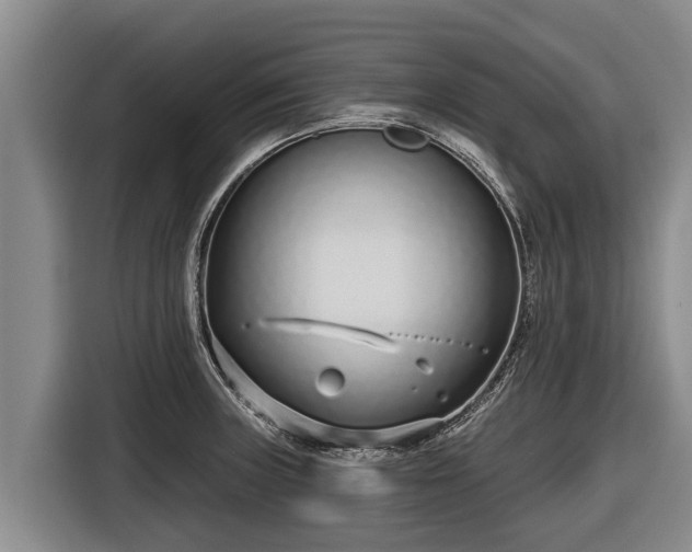 X0000116811235200912241214