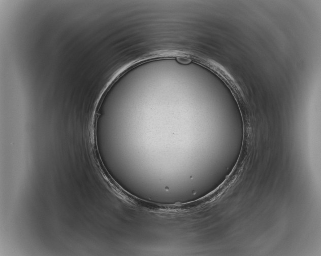 X0000116811236200912241214