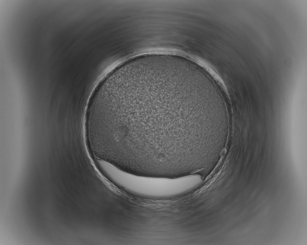 X0000116811237200912241214