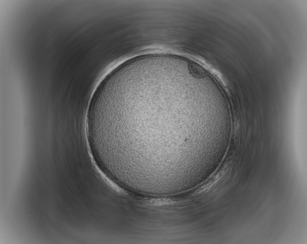 X0000116811239200912241214