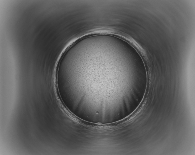 X0000116811240200912241215