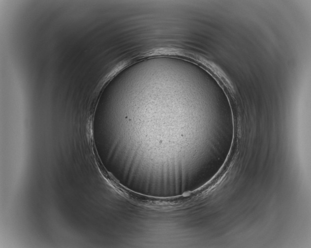 X0000116811241200912241215