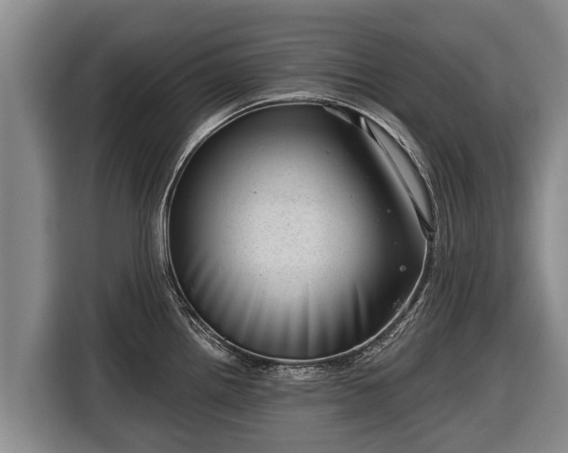 X0000116811242200912241215