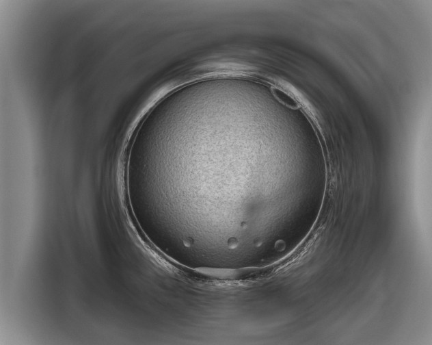 X0000116811243200912241215