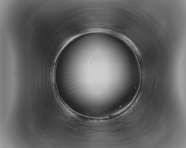 X0000116811244200912241215