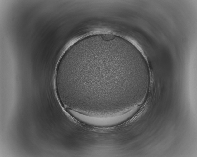 X0000116811245200912241215