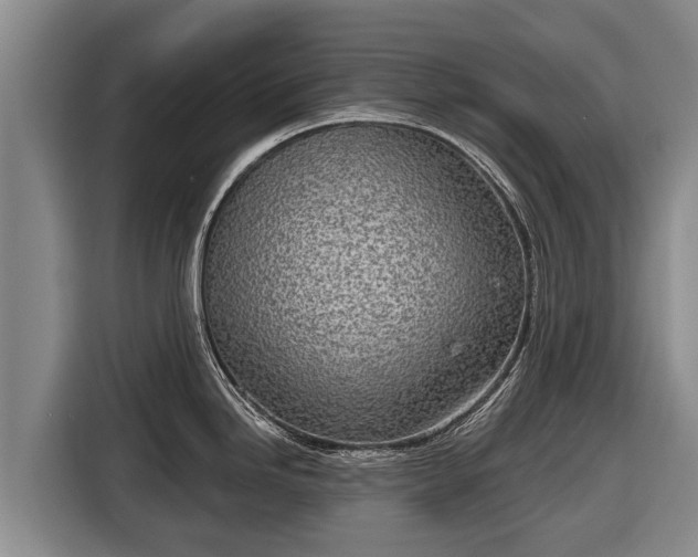 X0000116811246200912241215