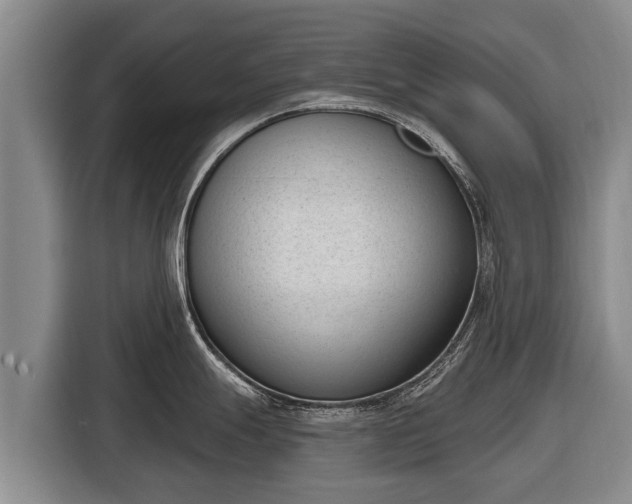 X0000116811247200912241215