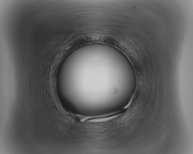 X0000116811249200912241214