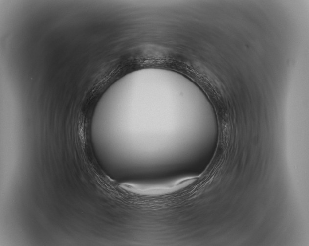 X0000116811250200912241214