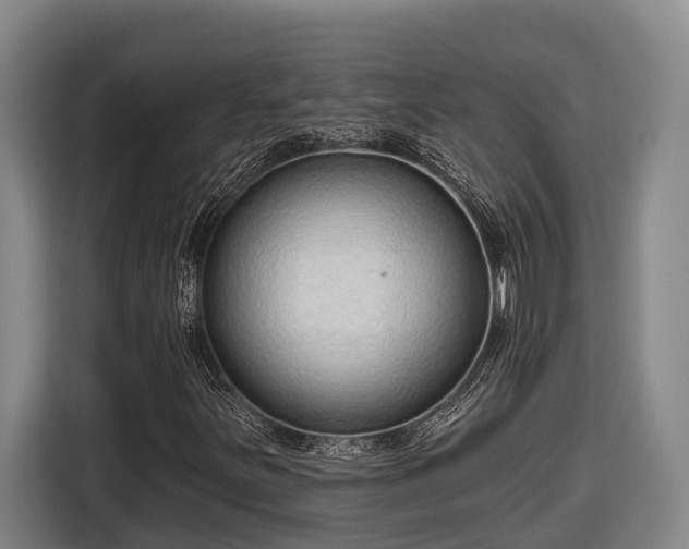 X0000116811251200912241214